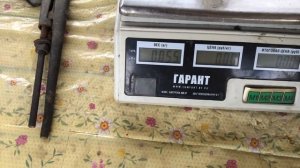 ОЗИМЫЙ ЧЕСНОК. Выгодно ли выращивать чеснок?