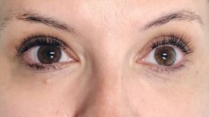 Elleebana Lash Lift + Tint