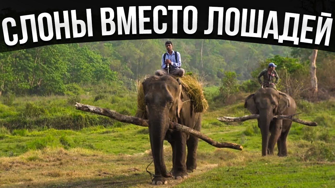 Смотри как живут люди в деревнях Непала! Деревенская жизнь непальцев.