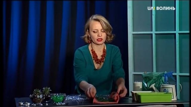 Ранок Нової Волині 05.04.19 смотреть онлайн