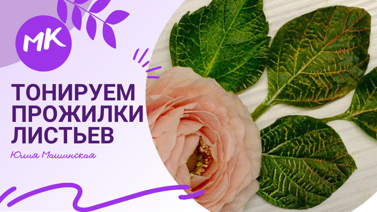 Мк Тонируем прожилки листьев