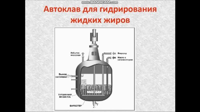 Жиры. 9 класс смотреть онлайн