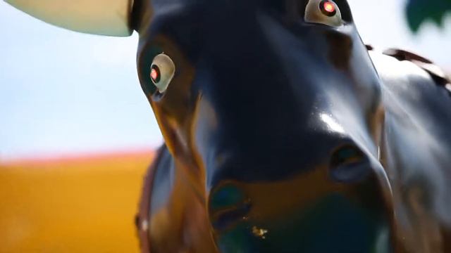 Механический родео-бык в аренду смотреть онлайн