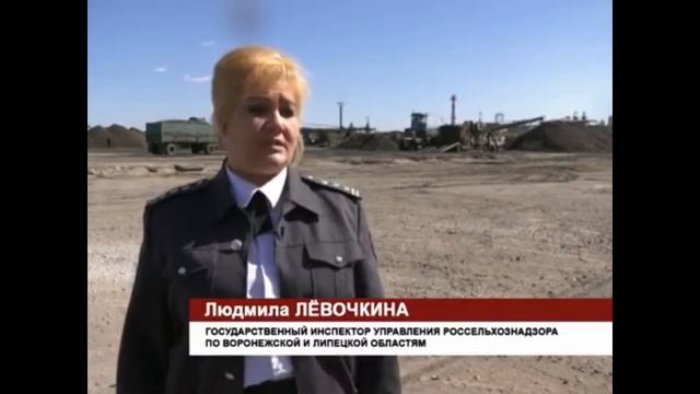 Сахарная свекла смотреть онлайн