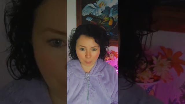 Можно ли мне доверять? смотреть онлайн