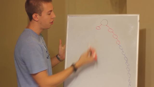 Vipassana Art Of Living How to Build a Binary Structure