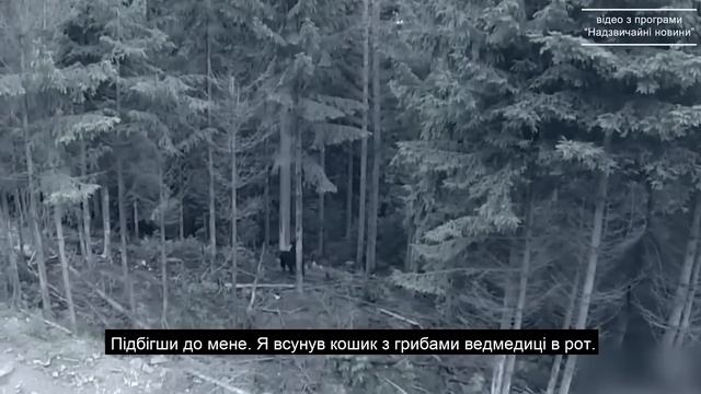 РОКОВАЯ ВСТРЕЧА С МЕДВЕДИЦЕЙ - Вячеслав Бойнецкий смотреть онлайн