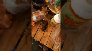 Как готовить раков