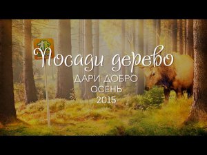 Осенний сезон акции «Дари добро»