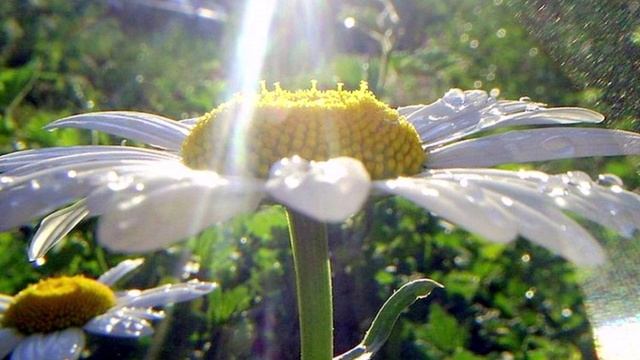 Энергетическая ловушка для хаотичных мыслей.