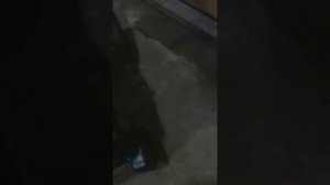 Обзор детской коляски Peg-Perego Uno