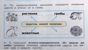 Окружающий мир. Рабочая тетрадь 3 класс 1 часть. ГДЗ стр. 6 №4