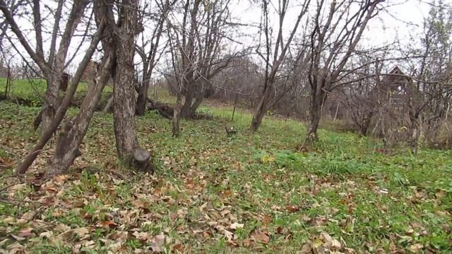 Года...года! смотреть онлайн