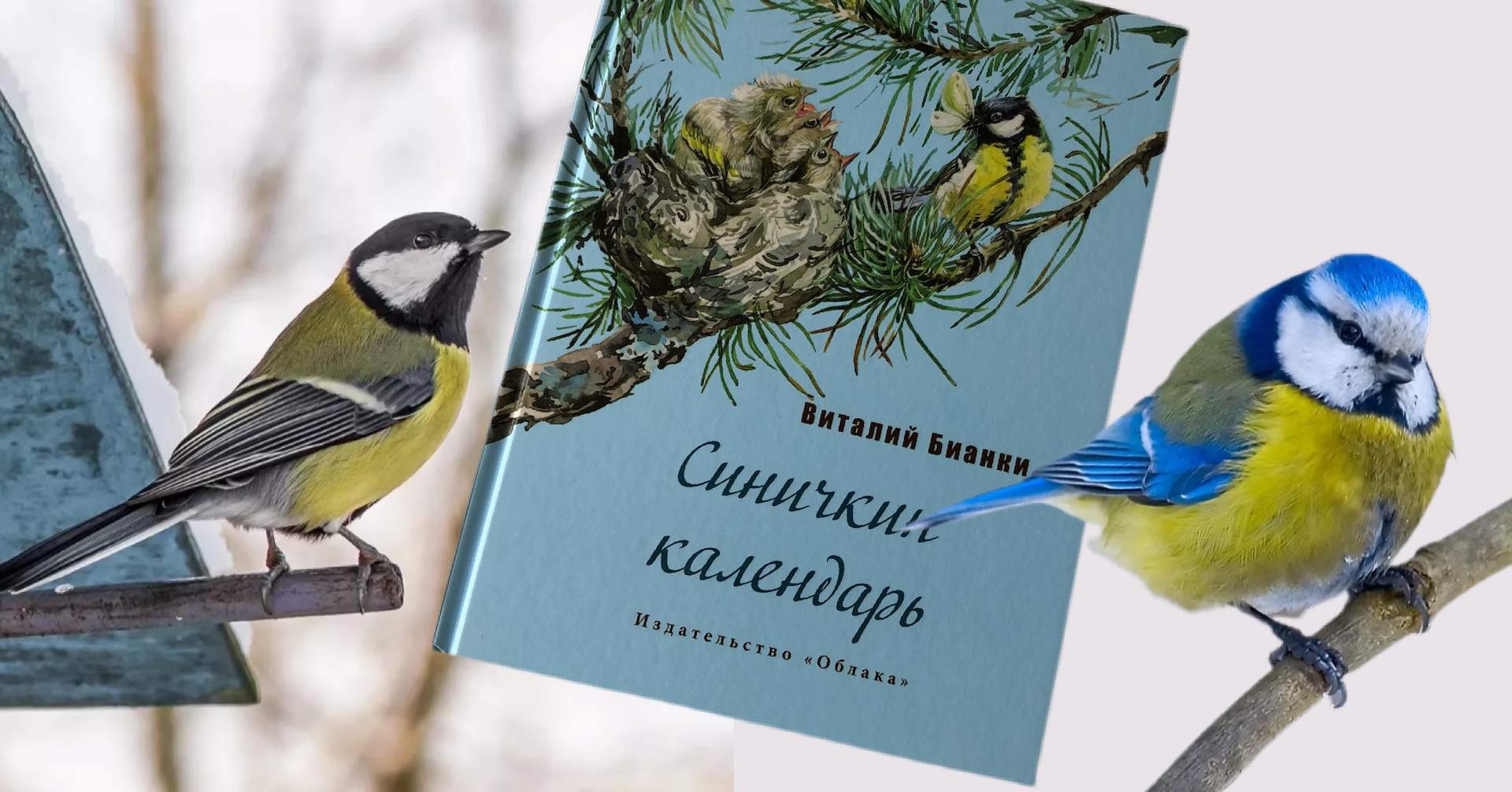 В. Бианки: Синичкин календарь