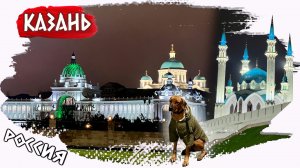 Путешествие с собакой // 3 дня в Казани