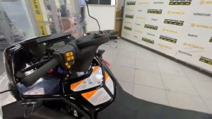 Снегоход STELS Ермак 800L