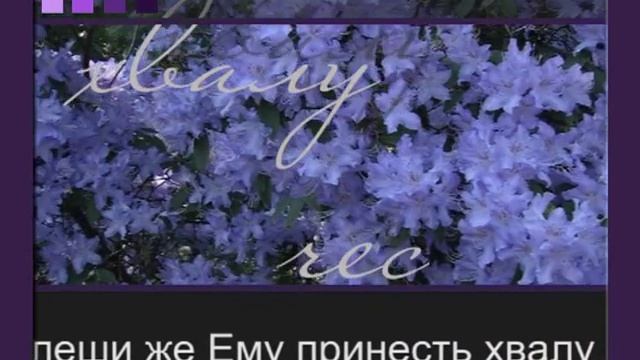 Спой же песню про Иисуса смотреть онлайн