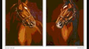 the legend of BARBARO!!!!!!!!!!!!!!!!!!!!!!!!!!!