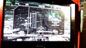 Skyrim unkillable follower