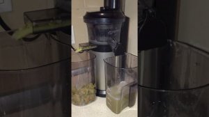 Panasonic MJ-L500 Slow Juicer Test