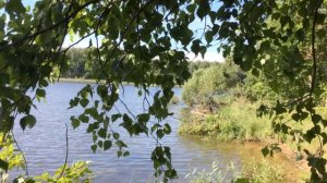 Подмосковье. Истра. 2017г.