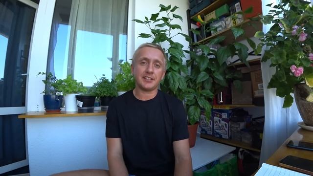 Хочешь купить комнату и сдавать ее? Посмотри этот ролик, делюсь своим опытом! смотреть онлайн