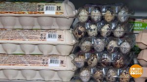 Перепелиные яйца: и что, лучше куриных? Доброе утро. Фрагмент выпуска от 24.11.2023