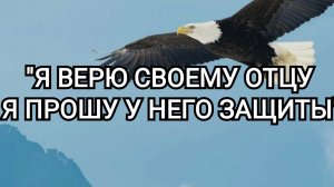 Я ВЕРЮ СВОЕМУ ОТЦУ! | Аmalia и оркестр