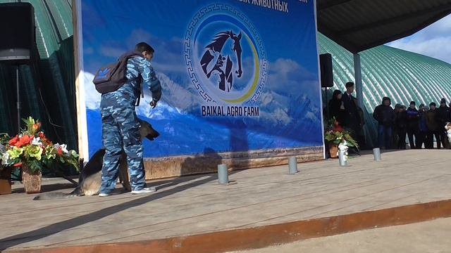 Вео Нарния, Показательные. Поиск вещества смотреть онлайн