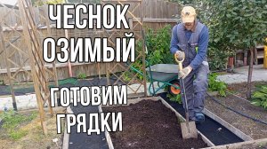 Чеснок озимый, готовим грядки