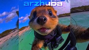 Монатик - Мокрая девочка танцует (speed up)