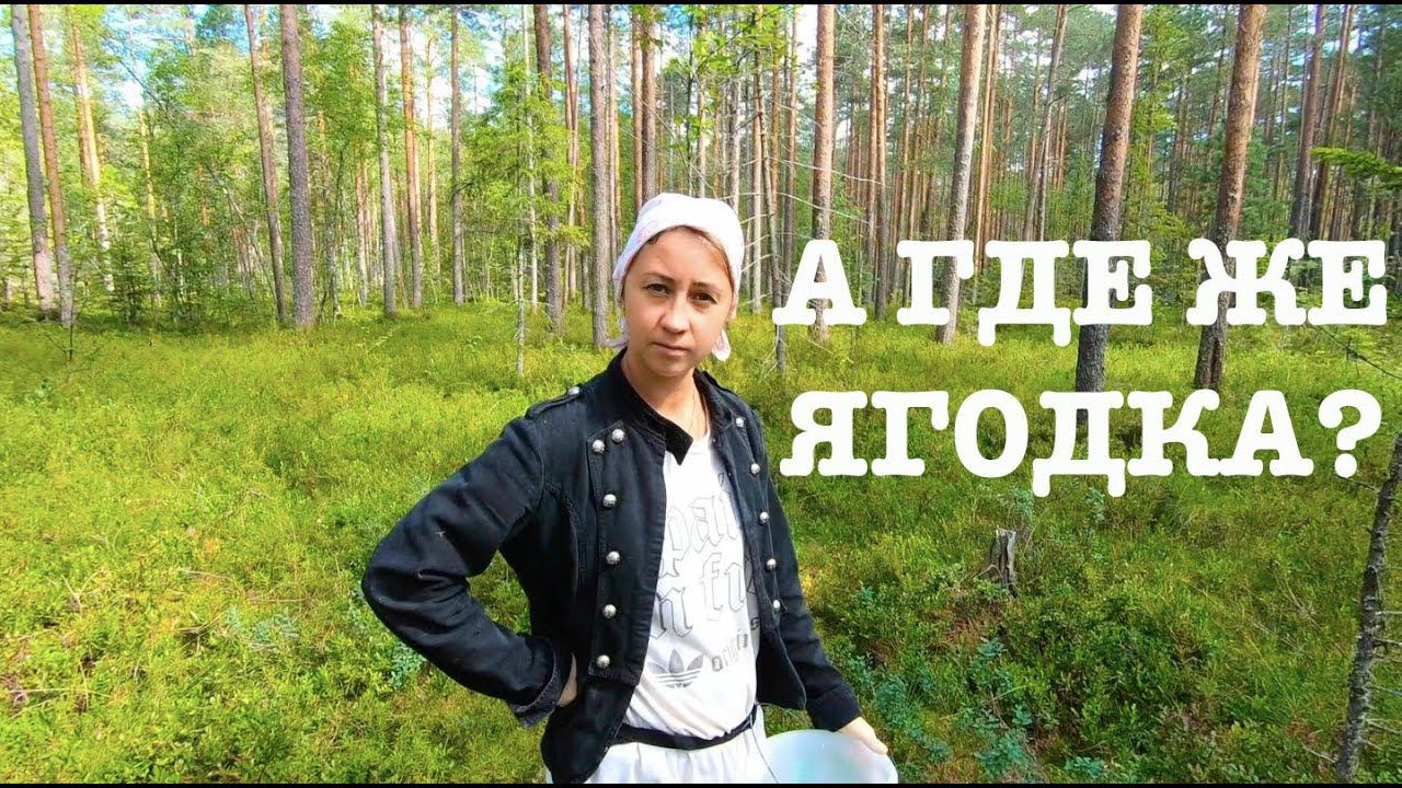 #153. Выгулы для птицы. Вылазка в лес. Урожай ягоды. [Жизнь на своей земле] смотреть онлайн