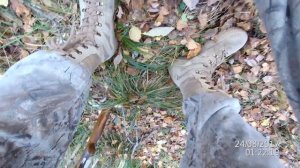 Охота на вальдшнепа самотопом № 2