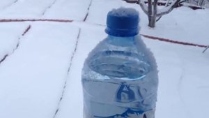 Правильная вода для полива - очень важно .mp4