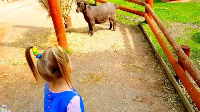Кукла реборн как ЖИВАЯ КУКЛА Игры Для Детей  КАК МАМА Подарок ЭЛЬВИРЫ ДЕНЬ РОЖДЕНИЯ Видео для детей