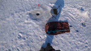 Рыбалка на ХАПУГИ Глухозимье! Такого я ещё не видел.