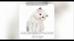 ❤️ музыка для флешмоба 🌷