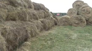 Можно ли вести в деревне бизнес. Есть участки на продажу? Деревня сверху.