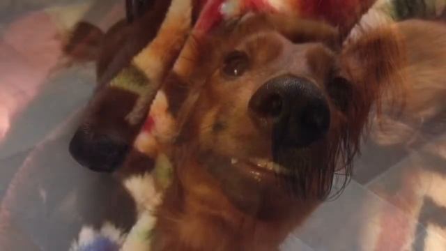 Джесси смотреть онлайн