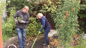 Дачные сезоны с Мариной Рыкалиной. Осенние работы на даче.