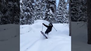 Носки Savior с подогревом