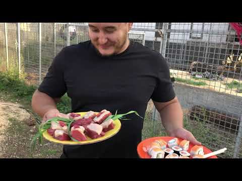Готовим Суши Для Тигров.Sushi for Tigers