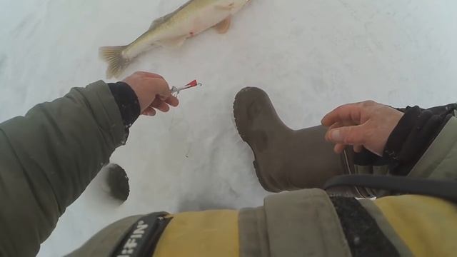 На Рыбалку в выходные!!! Выпуск №14 Ловля судака на раттлины и балансиры. смотреть онлайн