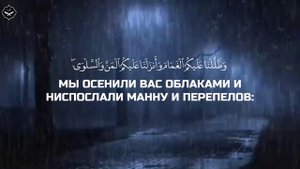 Мухаммад-Аль Люхайдан:Сура Бакара(Аяты(54:59)