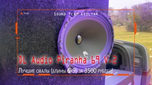 Лучшие овалы (блины 6x9) за 3500 рублей! DL Audio Piranha 69 V.2