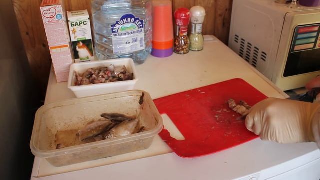 Повысить яйценоскость кур