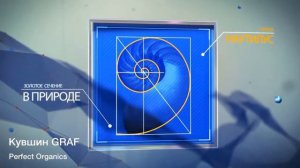 Золотое сечение в природе