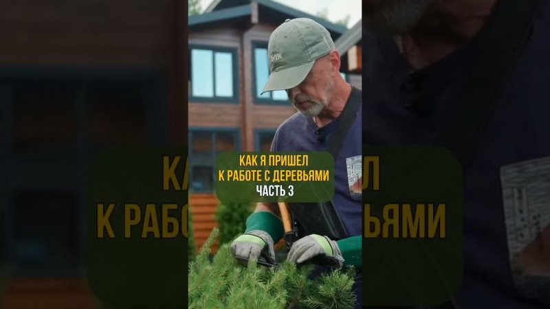 Как я пришел к работе с деревьями. Часть 3