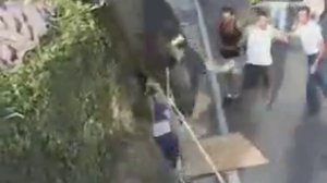 Испанские игры с быками