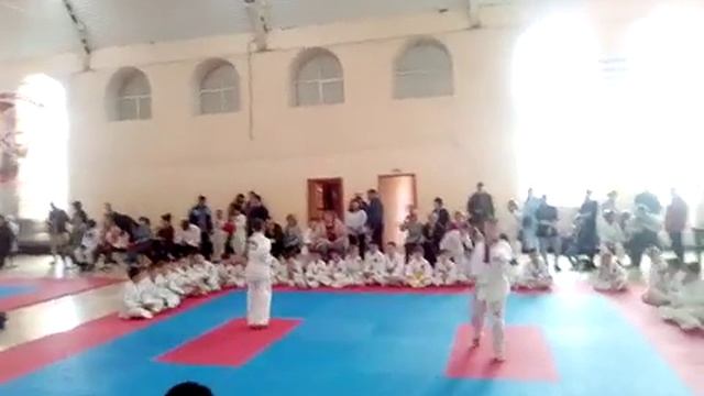 Тули тхэквондо смотреть онлайн